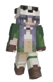 Skin preview