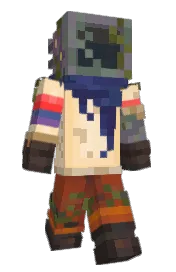 Skin preview
