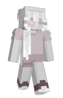 Front of HT5K1's skin