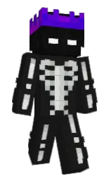 cod gray and pumice Minecraft skin — Classic model