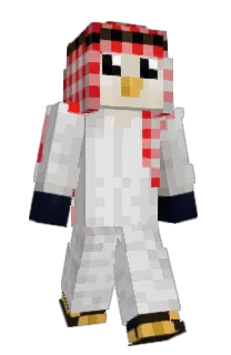 Front of verk12's skin
