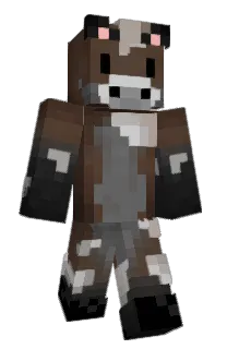 Front of Minecraft skin