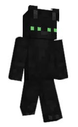 Back of Minecraft skin