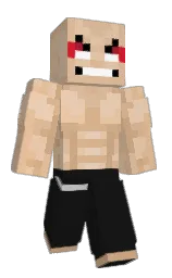 Minecraft skin — Classic model