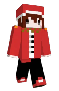Front of bb's skin