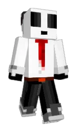 white and black Minecraft skin — Classic model