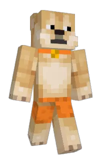 Front of Rixky's skin