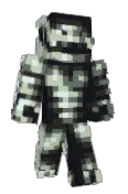 NC_Agent