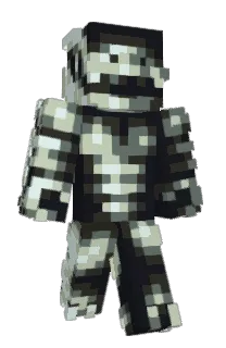 Front of NC_Agent's skin