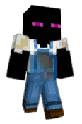 Novicememe