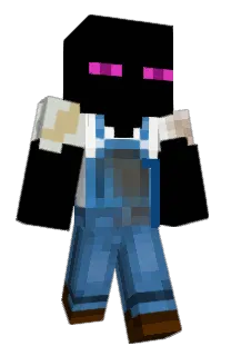 Stupidwins's Minecraft skin
