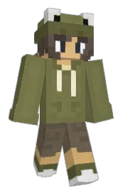 Skin preview