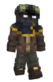 Skin preview