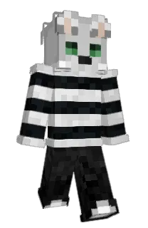 Front of Theame's skin