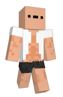 Front of Disayser's skin