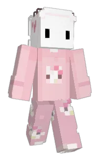 Front of hcivdnaS's skin