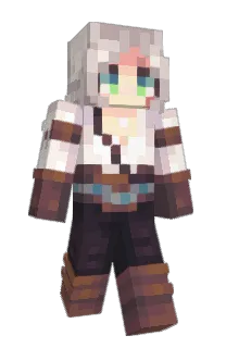 Front of PMGx's skin