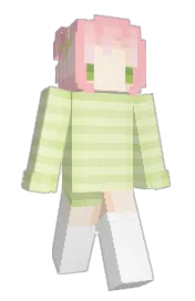 Skin preview