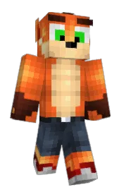 Skin preview