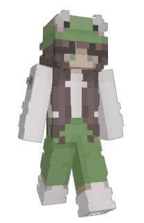 Front of skellylmao's skin