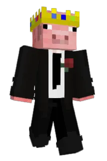 c298 Minecraft avatar full body