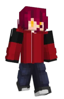 Front of ParizI's skin