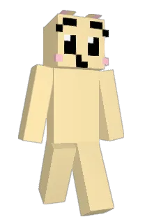 Front of shocolon's skin