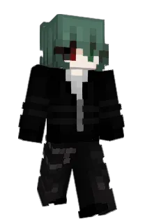 Front of Reformic's skin