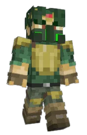 Skin preview