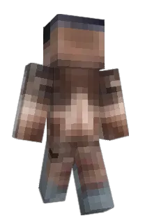 Front of falafala's skin