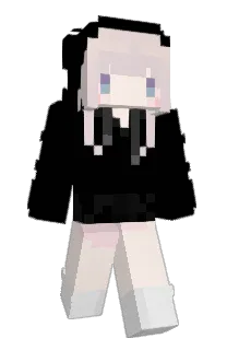 Front of Torisanpoppo's skin