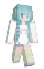 Skin preview