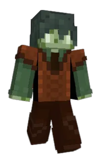 Front of Vistsity's skin