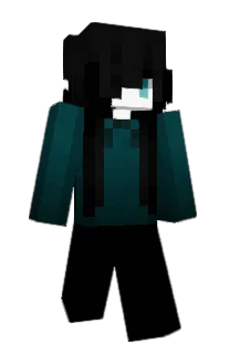 Front of vlih's skin
