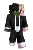 Peeettt