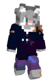 Front of v109's skin