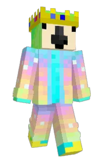 Front of FR333WILL's skin