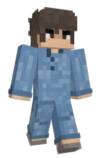 Front of elonsi's skin