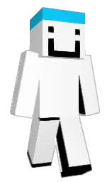 white and black Minecraft skin — Classic model