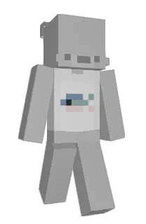 Front of onvi's skin
