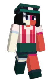 Skin preview