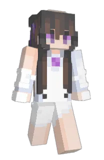 Front of flairtop's skin