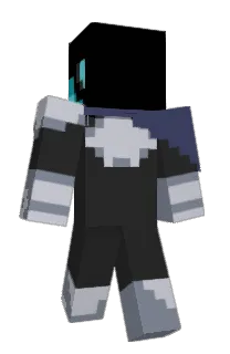 Front of Envizix's skin