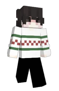Front of Descriptor's skin