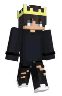 Front of labimod's skin