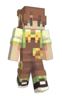 Front of shimawz's skin