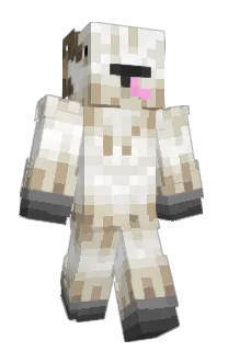 Front of Stena's skin