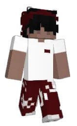 Minecraft skin — Classic model