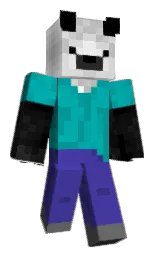 Minecraft skin — Classic model