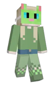 Skin preview